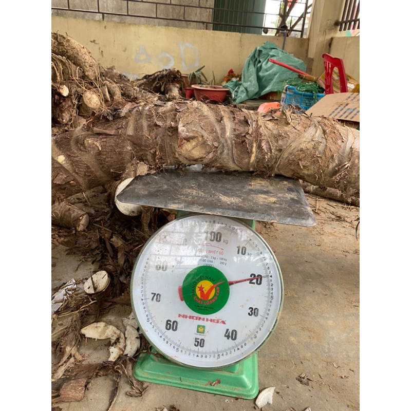 COMBO 10kg BẠC HÀ NÚI