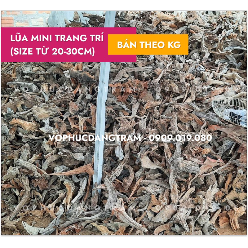 Lũa mini trang trí