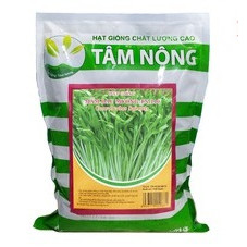 [Túi Lớn 1Kg] Hạt Giống Mầm Rau Muống - Tâm Nông, Dễ Trồng, Rau Sạch Ban Công, Giảm Say Nắng, Tăng Đề Kháng, Nhuận Tràng