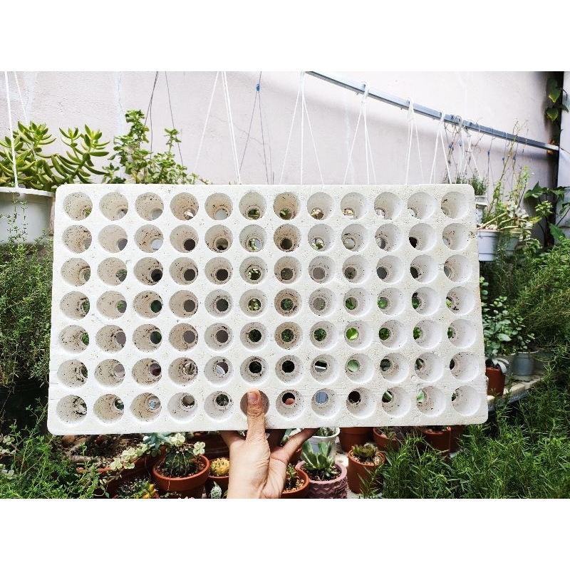 Khay/Vỉ Xốp 84 112 Lỗ - Khay Đã Qua Sử Dụng - Trồng Rau Lá Mầm, Sen Đá Nhỏ