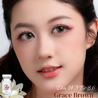 Sky Lens Korea- Kính áp tròng Grace Brown Dia 14.3 Bc 8.6