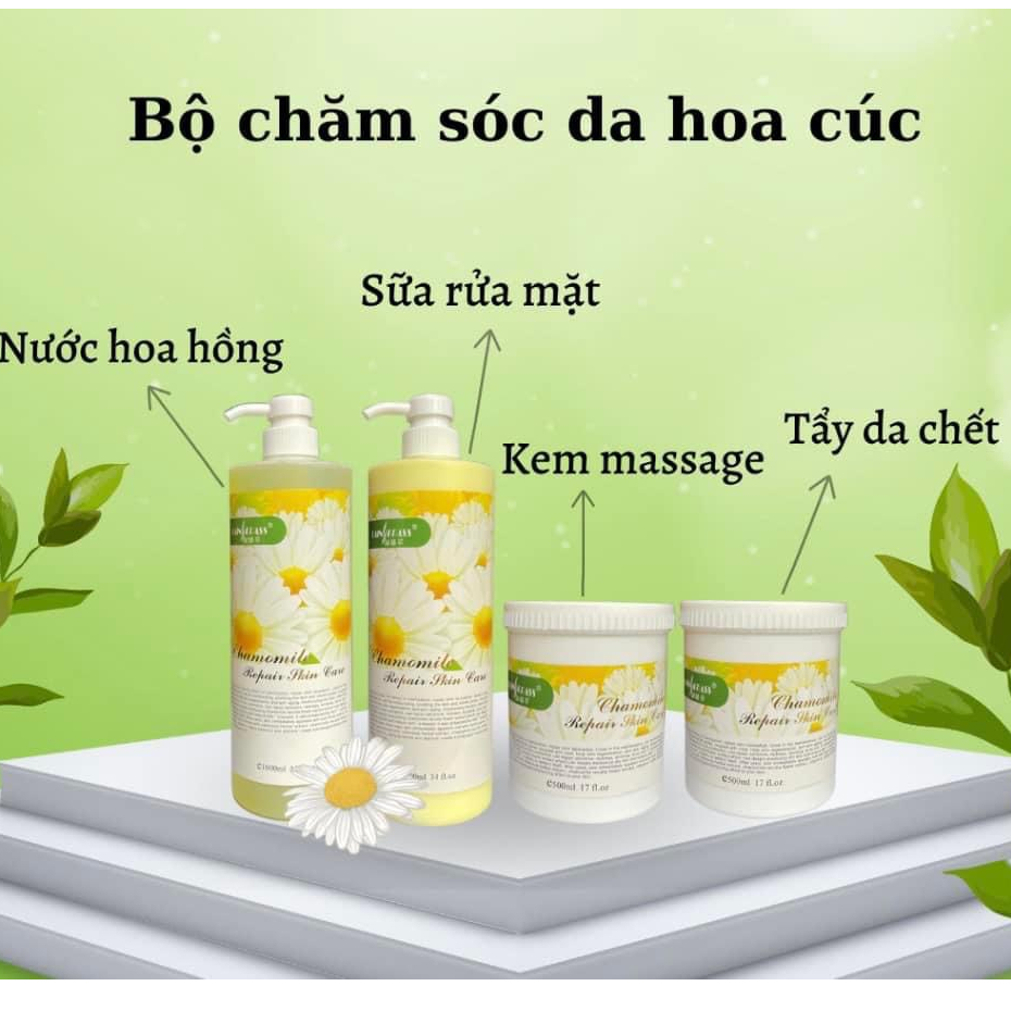 Bộ Chăm Sóc Da Hoa Cúc 4 Món