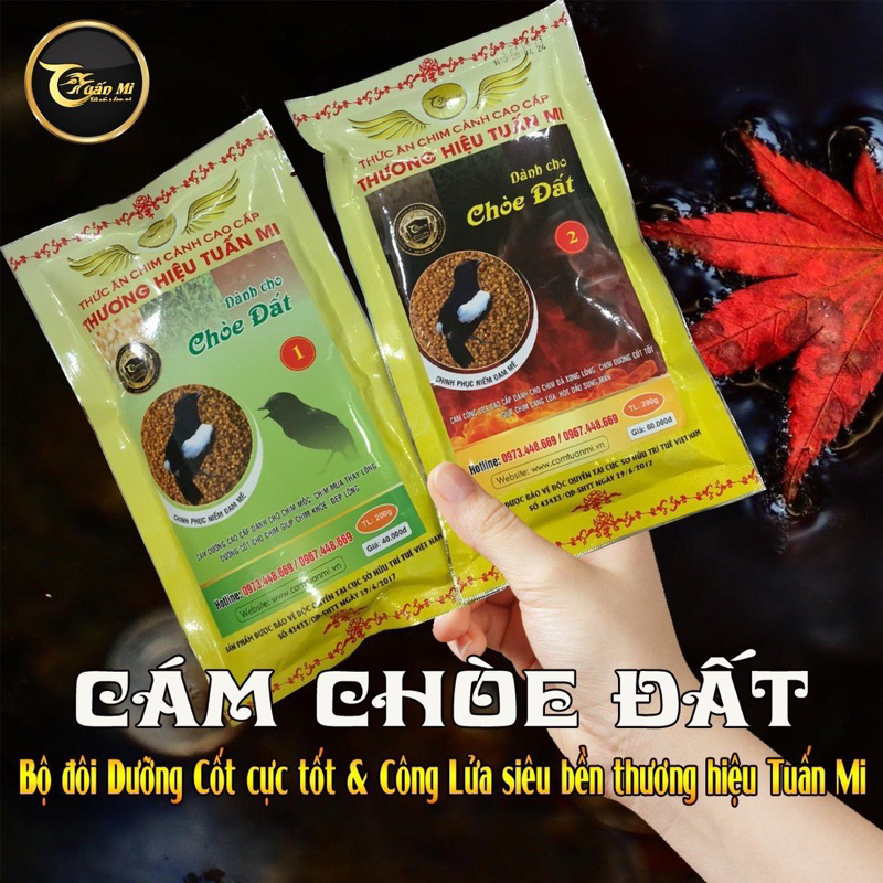 CÁM CHOÈ ĐẤT DƯỠNG SỐ 1