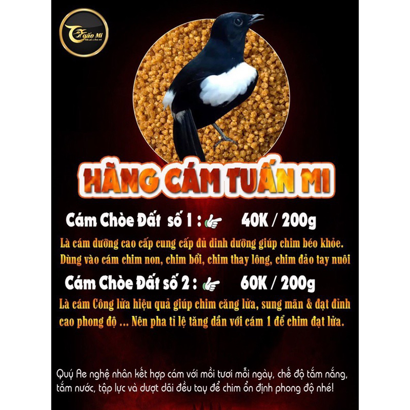 CÁM CHOÈ ĐẤT DƯỠNG SỐ 1