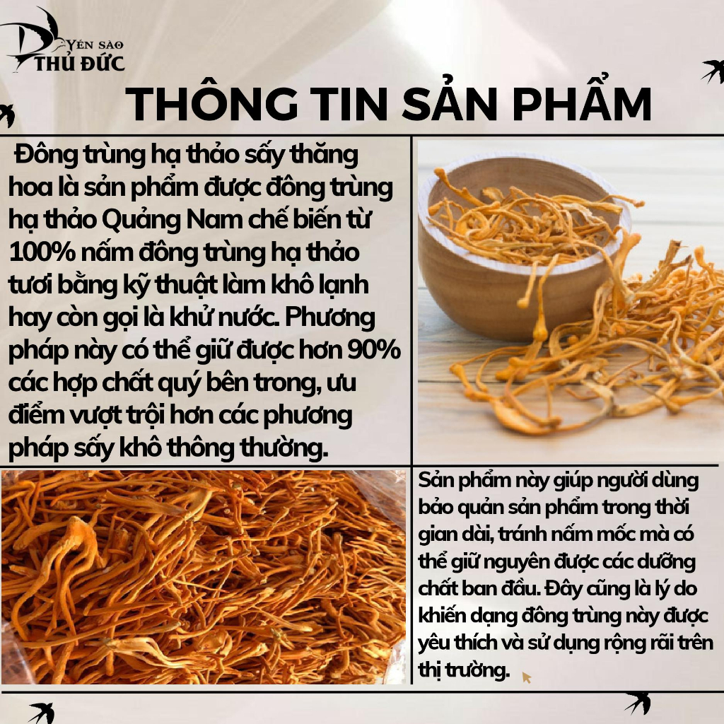 Đông Trùng Hạ Thảo Loại 1 Sấy Thăng Hoa loại 10 gram