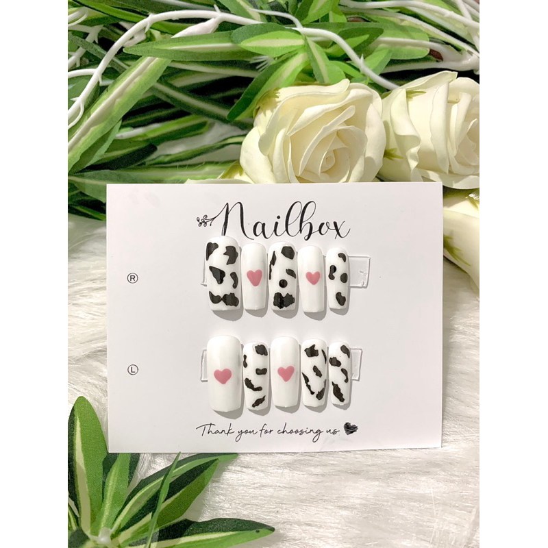 Nail box thiết kế xinh giá rẻ