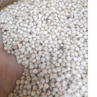 Hạt bo bo trắng Úc 1kg