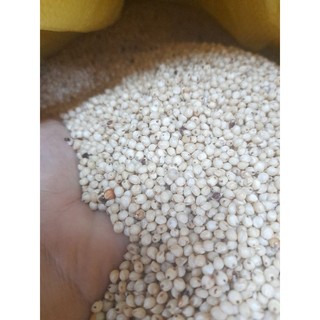 Hạt bo bo trắng Úc 1kg