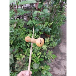 sáo đơn D15