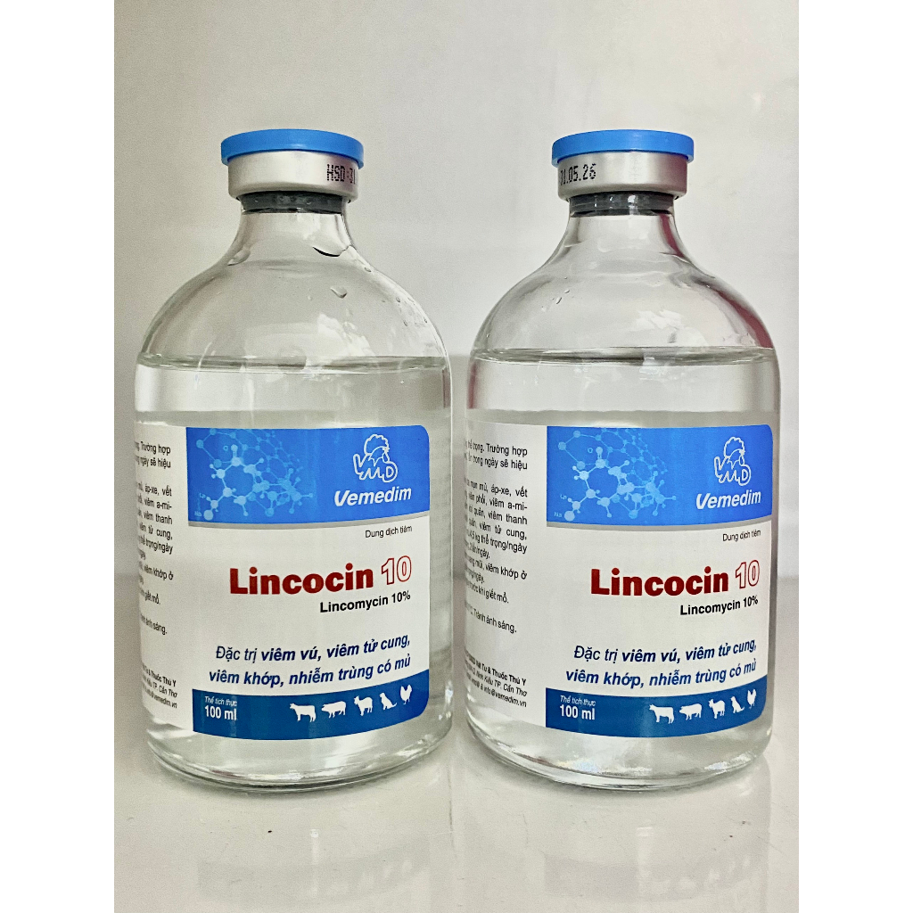 Lincocin 10% Viêm vú, viêm viêm tử cung, viêm khớp