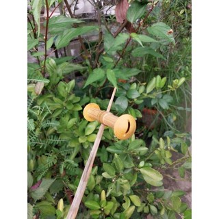 sáo diều D12