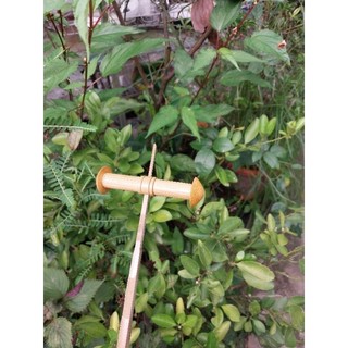 sáo diều D12