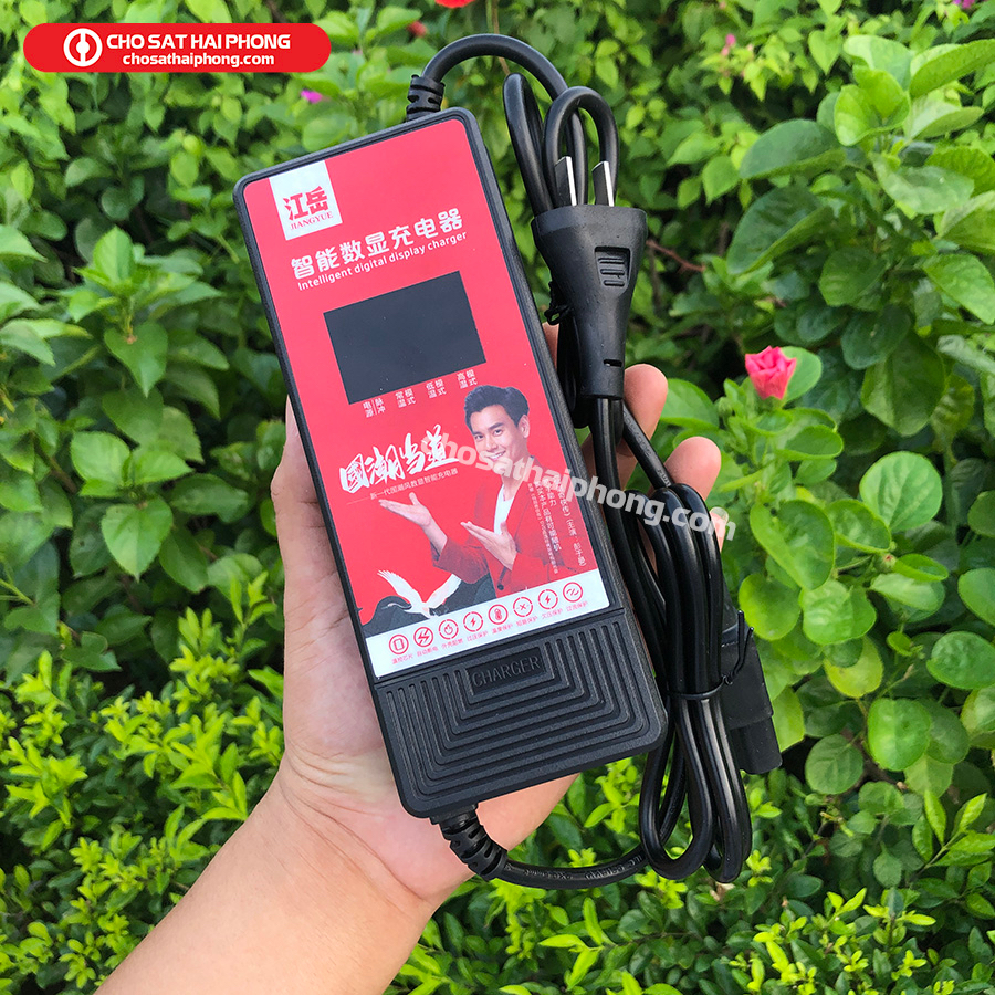 Sạc ắc quy xe điện 48v-12Ah loại cao cấp - Chợ Sắt Hải Phòng Online