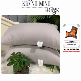 Ruột Gối Kháng Khuẩn 2 Chiếc Cao Cấp Loại 1- Size 50x70cm