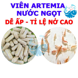 Artemia nước ngọt viên nhộng, tỉ nệ ấp nở cao, cực dễ ấp