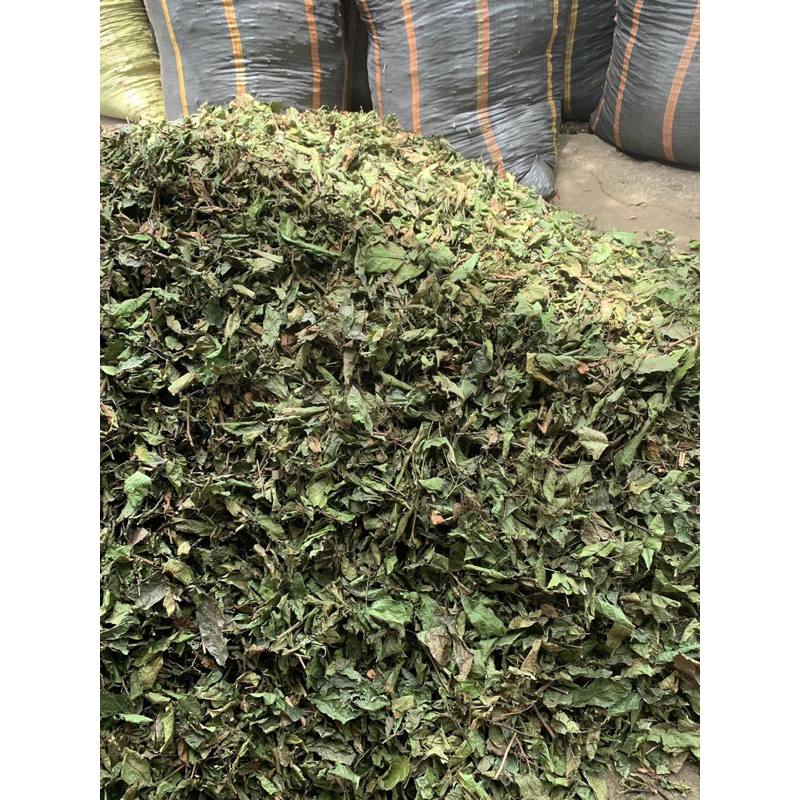 Cao Xạ đen-Bán chi liên-Bạch hoa xà  tiêu u hạch