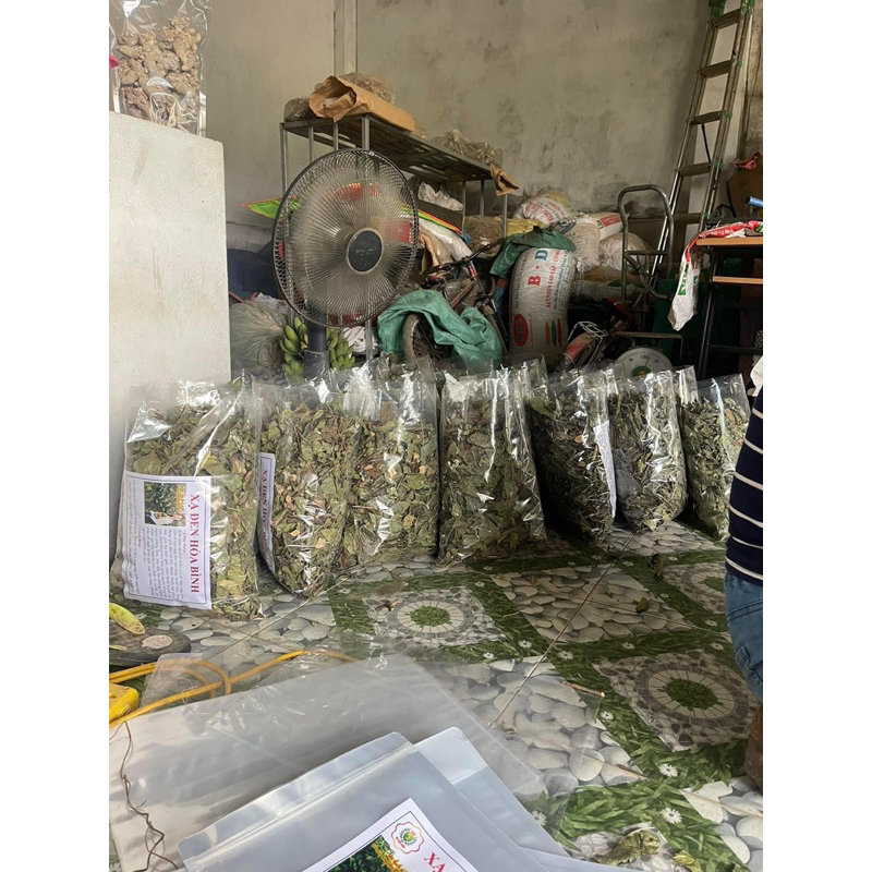Cao Xạ đen-Bán chi liên-Bạch hoa xà  tiêu u hạch