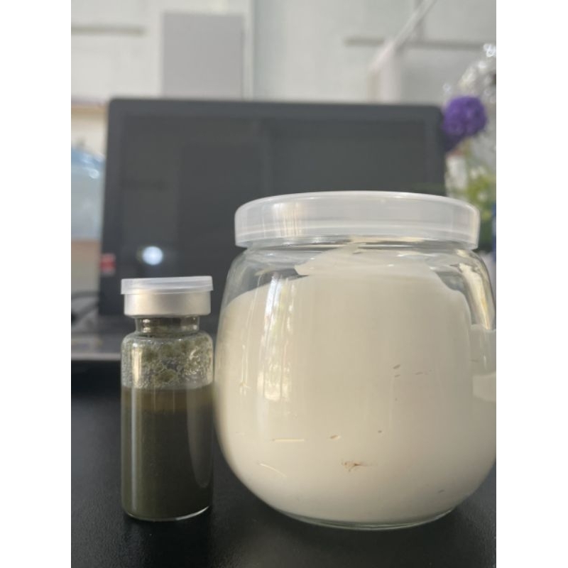 COMBO PEEL SẠCH THÂM NÁCH MÔNG BẸN ĐẦU GỐI VẾT MUỖI ĐỐT