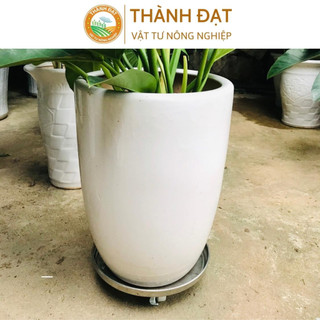 Đế kê chậu cây, đế để chậu cây có bánh xe di chuyển bằng inox