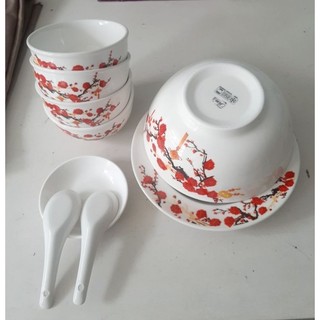 Bộ tô ,chén, dĩa, muỗng  9 món ( Quà tặng Omo)