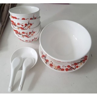 Bộ tô ,chén, dĩa, muỗng  9 món ( Quà tặng Omo)