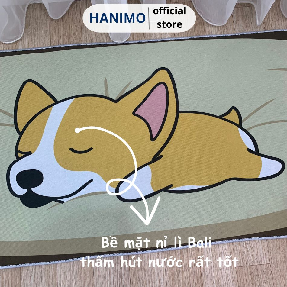 Thảm trải bếp, chân giường, phòng khách, phòng ngủ, sofa 60cmx1m6 Hanimo
