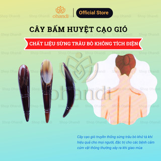 Cây bấm huyệt và cạo gió sừng trâu khía cạnh hoa văn thẩm mỹ trên ống sừng