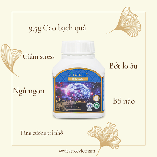 Viên uống bổ não Vitatree Mega Ginkgo 9500mg Max giúp tuần hoàn máu não, tăng cường trí nhớ 60 viên