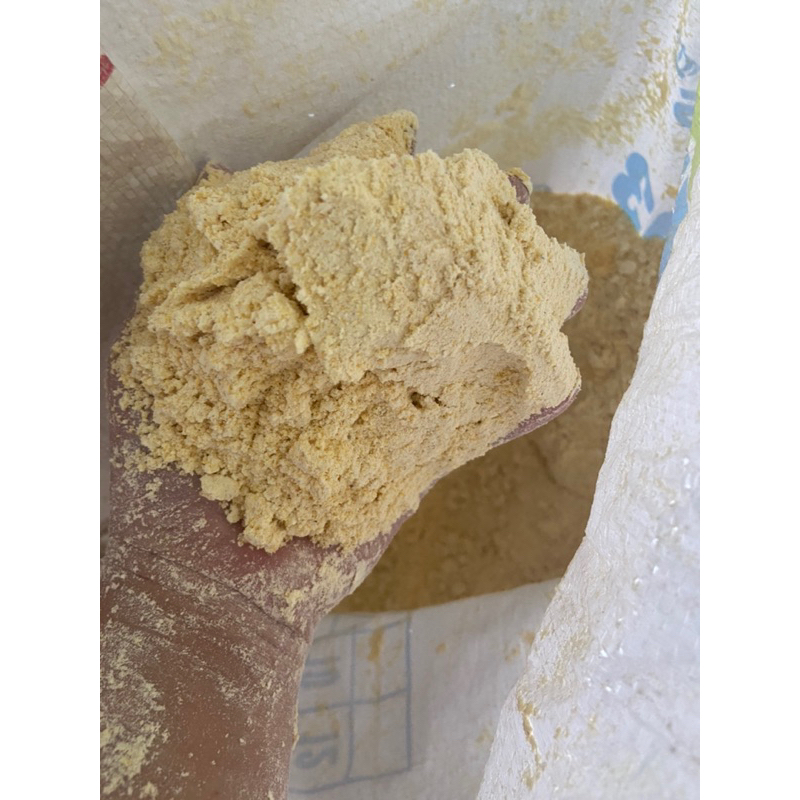 Bột bắp - bột ngô 500g dùng làm mồi câu cá, thức ăn gia súc gia cầm,…