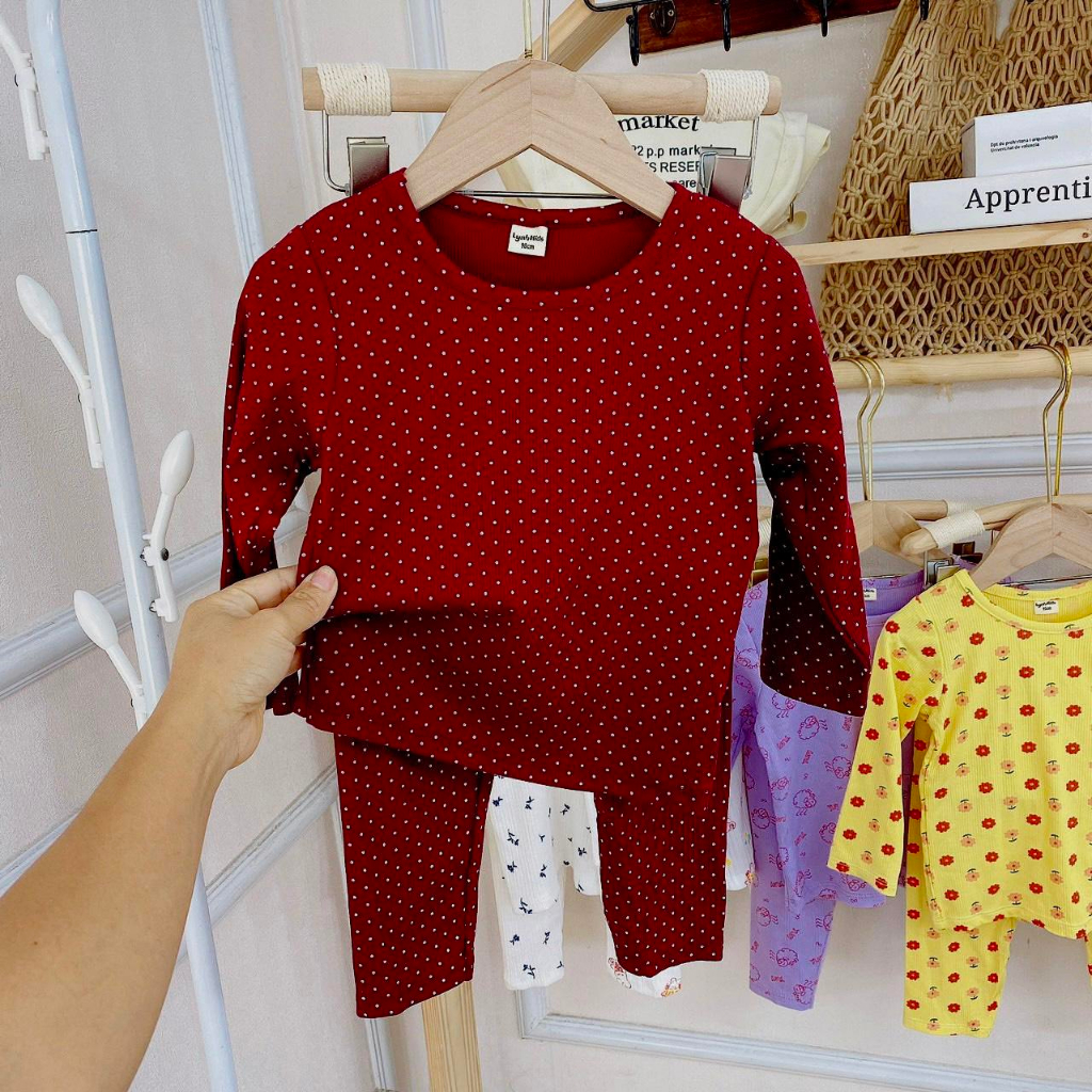 Bộ cotton xuất dư siêu xinh cho bé gái - B35