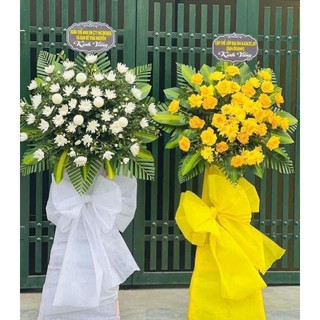 Giấy lụa cuộn (giấy mếch cuộn), hàng dày dặn