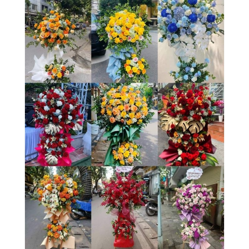 Cây hoa khai trương, chúc mừng, hoa bó, lẵng hoa tươi nhập khẩu cao cấp