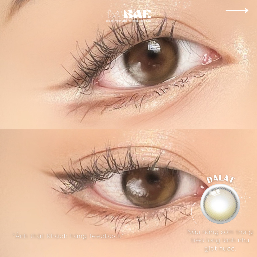 DALAT-HOIAN hãng DABAE lens nâu xám tự nhiên trong veo có độ cận lệch