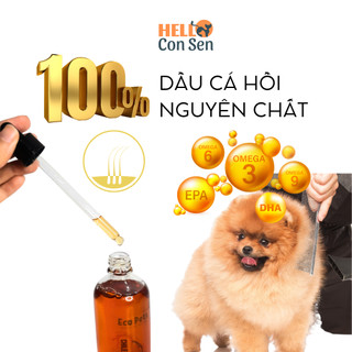 Dầu cá hồi chó mèo đóng chai thủy tinh nguyên chất 100% giúp mượt lông dưỡng ẩm dầu cá hồi Chile