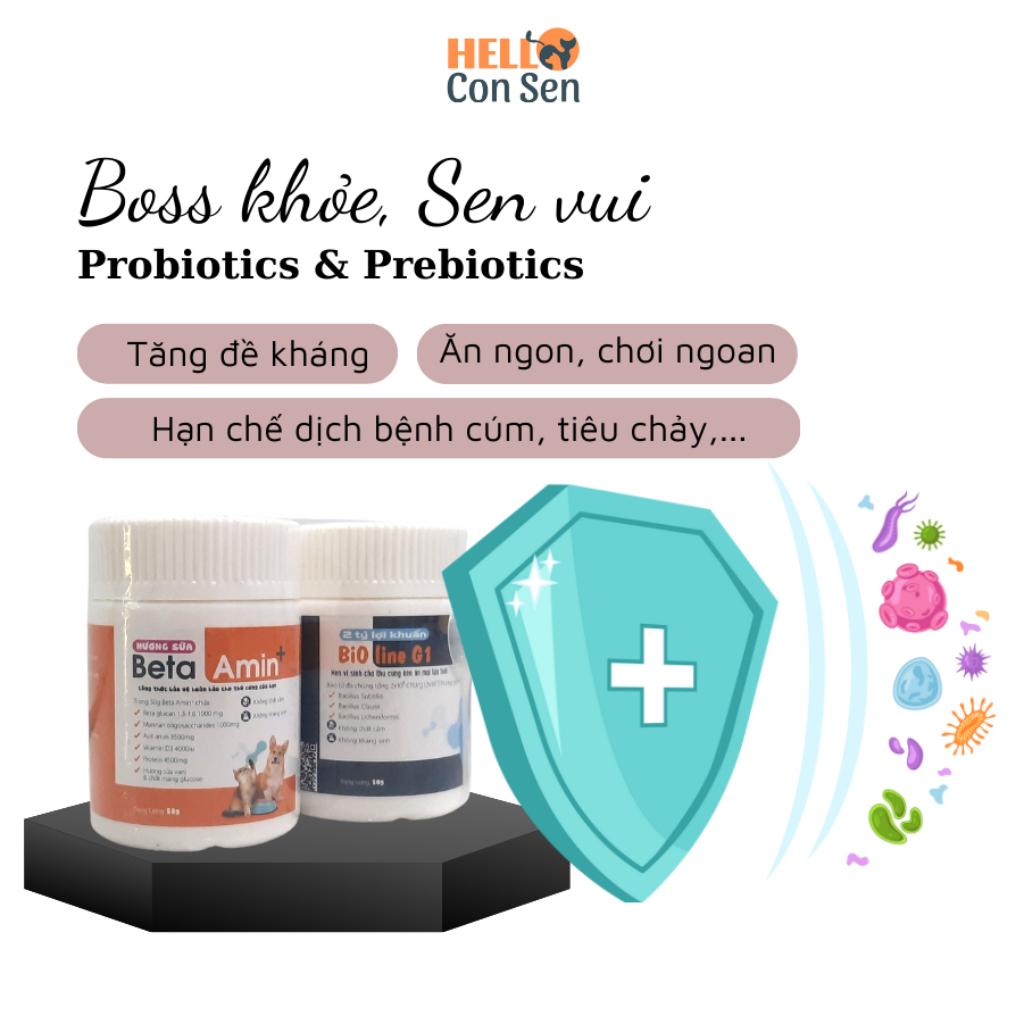 Vitamin cho chó mèo Bột dinh dưỡng tăng đề kháng Beta Amin 50g