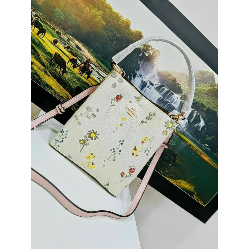Túi xách hiệu Coach Small Town Bucket Bag