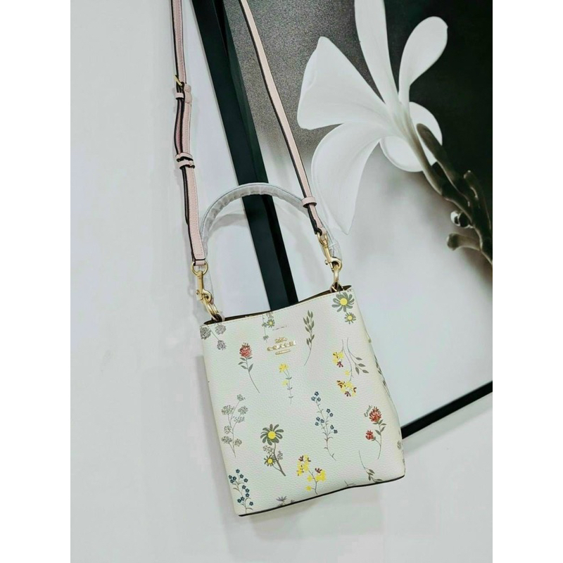 Túi xách hiệu Coach Small Town Bucket Bag