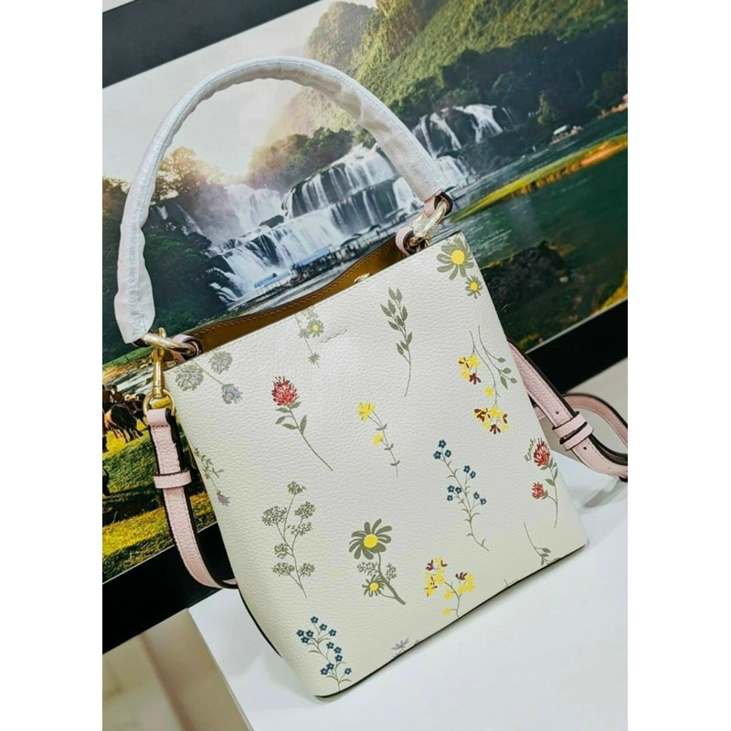 Túi xách hiệu Coach Small Town Bucket Bag