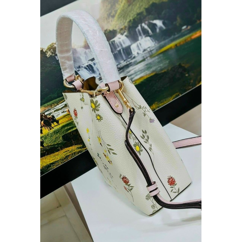 Túi xách hiệu Coach Small Town Bucket Bag