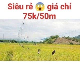 Lưới_tàng-hình_đủ_loại_cao5m_dài10m_50m