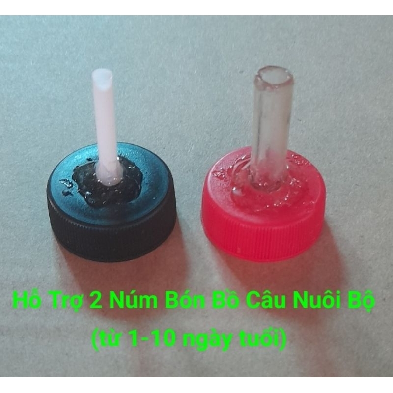 CÁM SỮA DIỀU 4 CHO BỒ CÂU CON MỚI NỞ 1KG