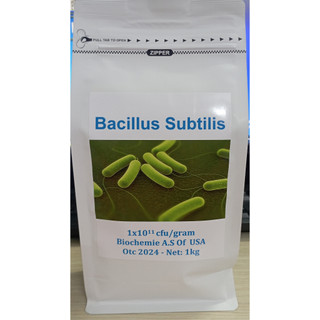 Bacillus subtilis 100tỷ cfu/gram: Vi sinh nguyên liệu túi 1kg