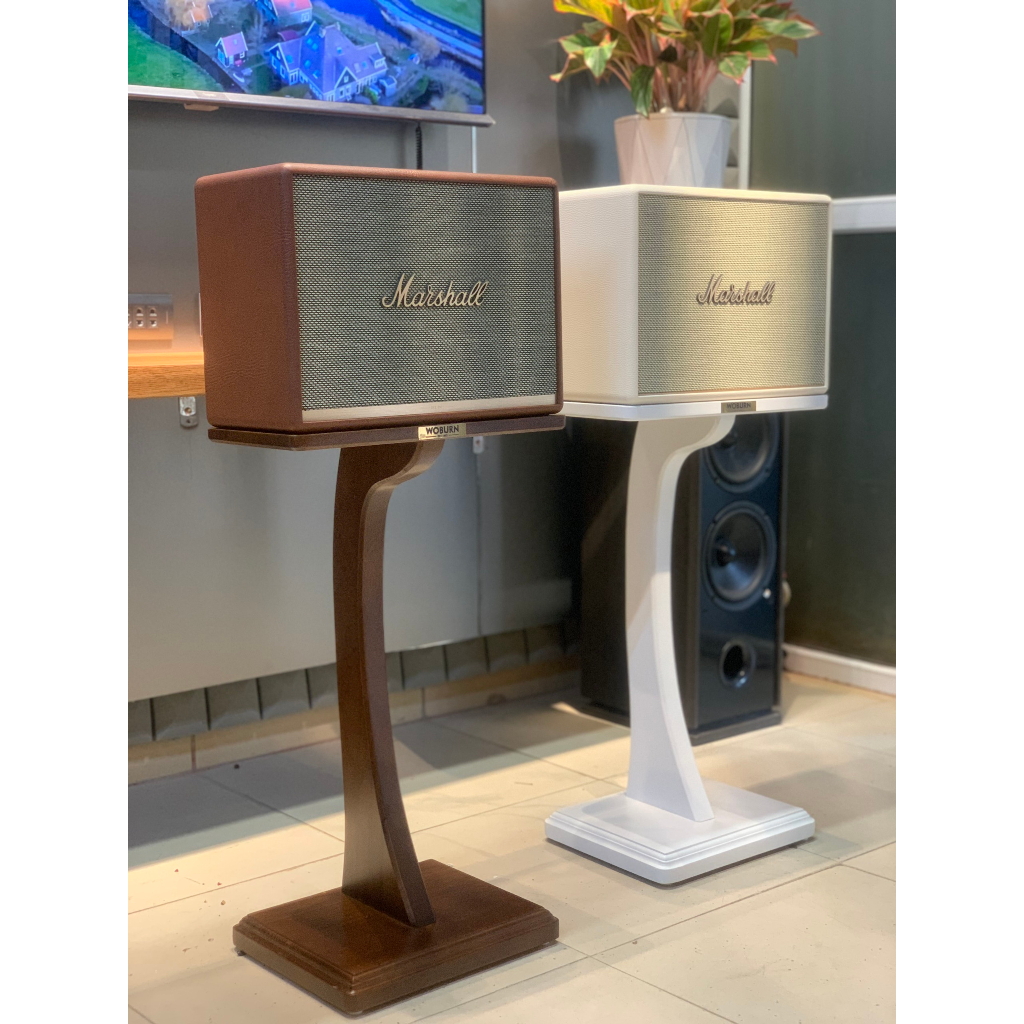 Chân loa Marshall Woburn / Stanmore - Gỗ tự nhiên