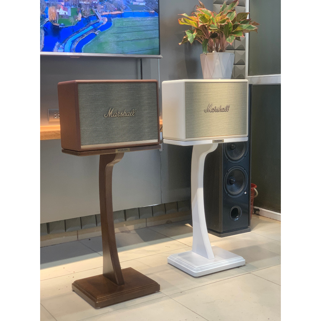 Chân loa Marshall Woburn / Stanmore - Gỗ tự nhiên