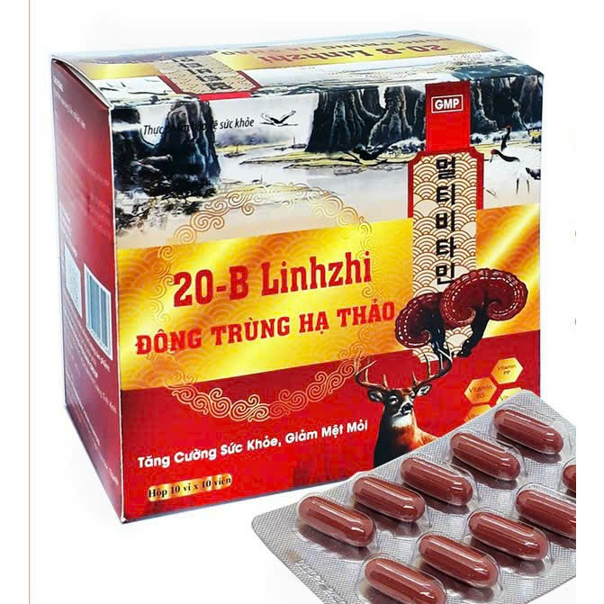 20-B Linhzhi ginseng đông trùng hạ thảo hỗ trợ ăn ngon miệng ,bồi bổ cơ thể, nâng cao thể trạng 20B