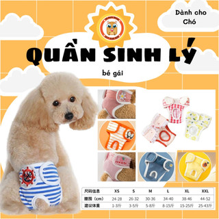 Quần chip - quần sinh lý cho bé cún cái tới tháng " rụng dâu"
