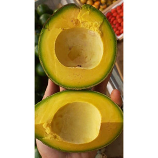 [GIAO HỎA TỐC HCM] Bơ booth dẻo ngon , không sơ chỉ  ( 2,3 trái /kg )- 1kg