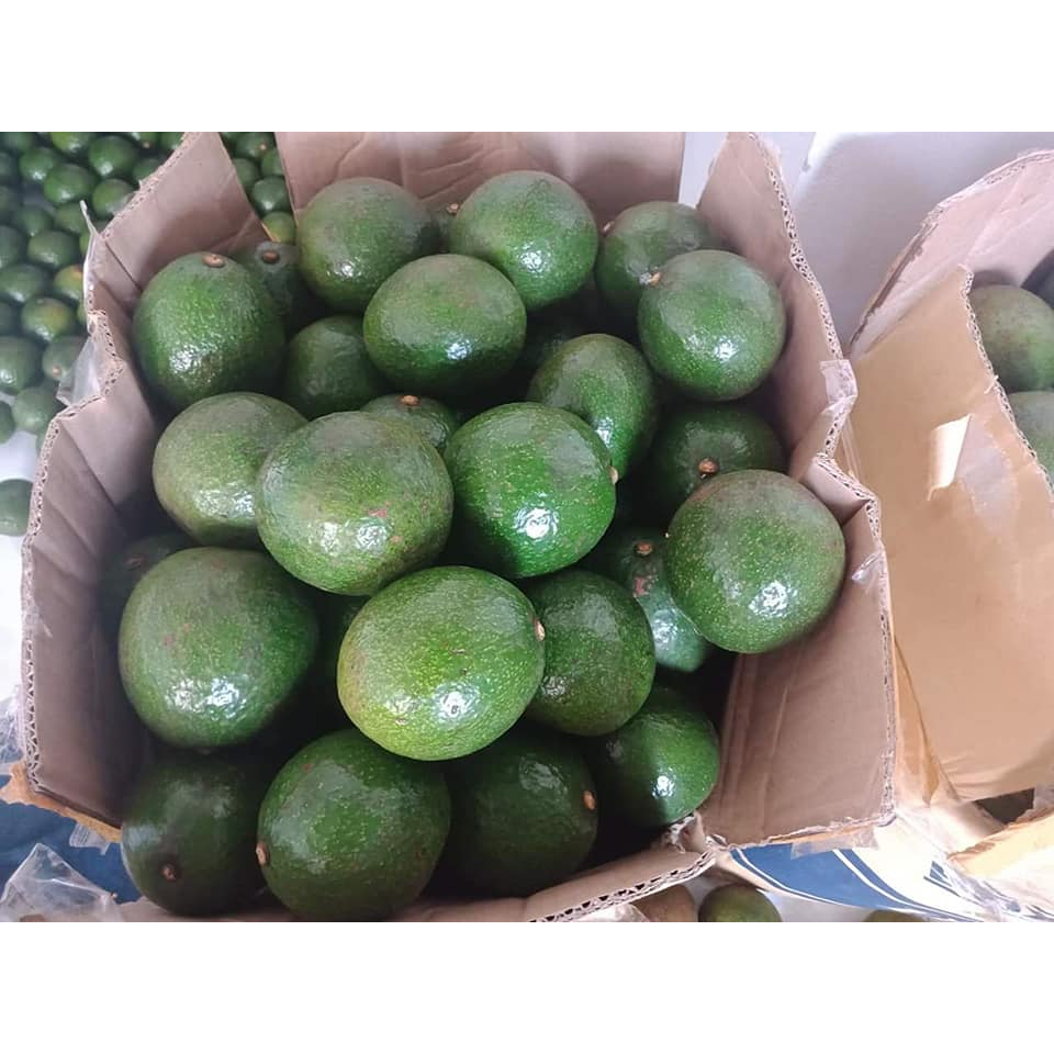 Bơ booth dẻo ngon , không sơ chỉ  1kg