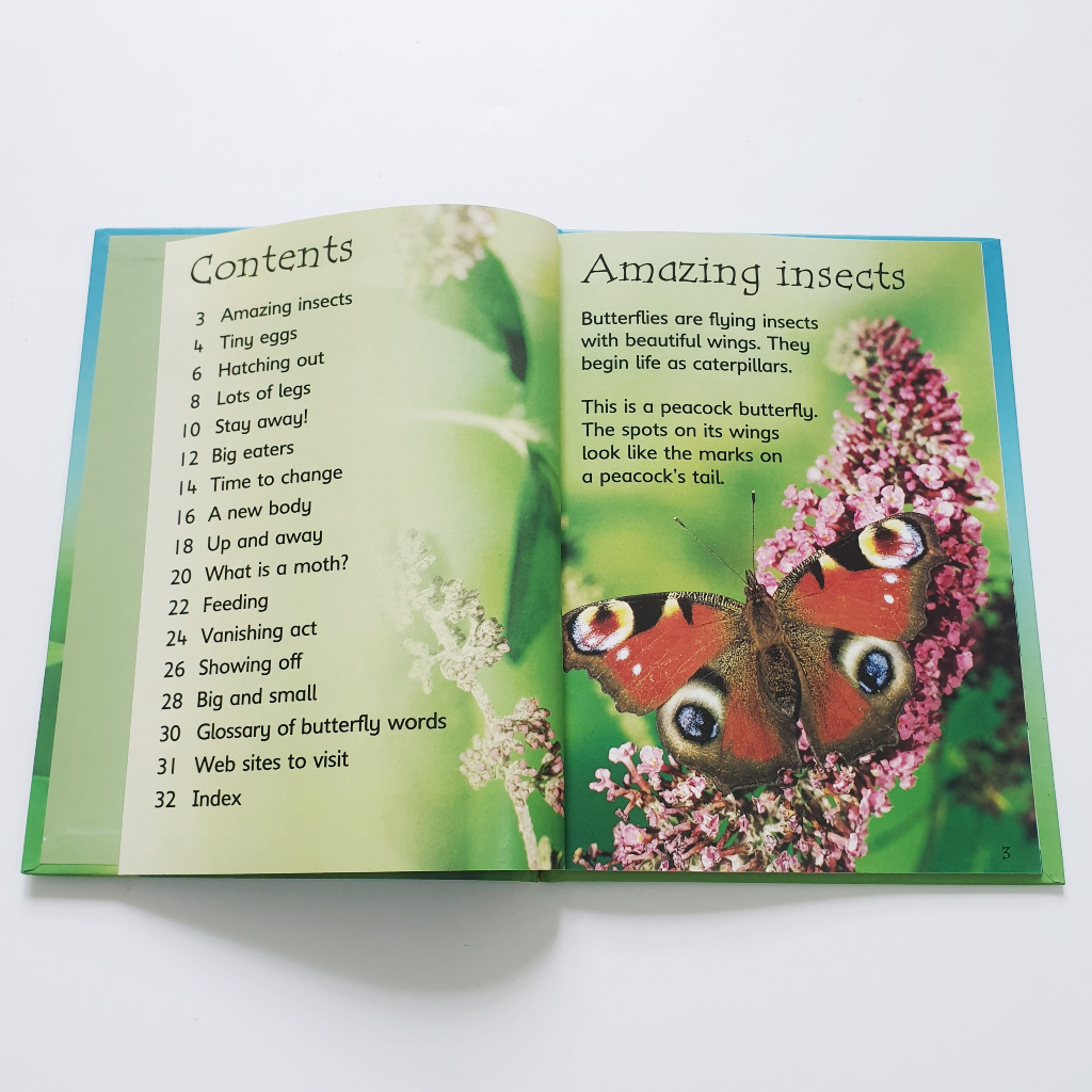 Sách - Usborne Beginner Nature - 10 cuốn