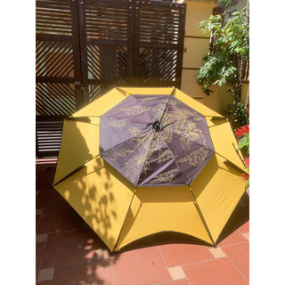 Ô Kim Long 2 tầng siêu đẹp(siêu giảm giá)